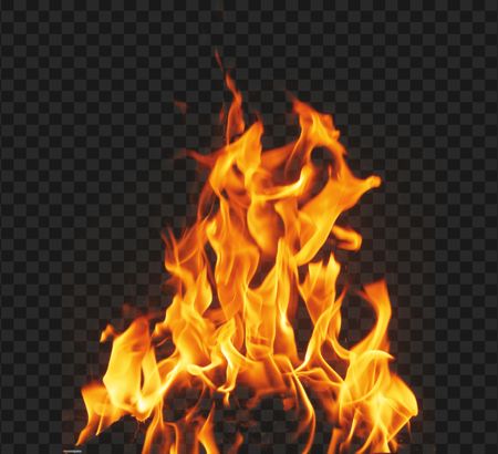 The 9th Flame Photo Festival